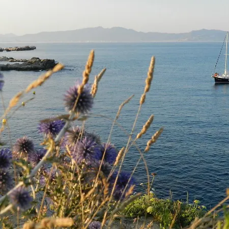 酒店 El Raco De - Adults Only 4*